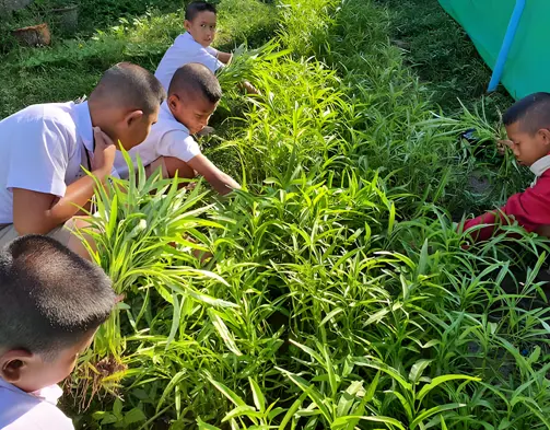Aleenta Luxury Resort Thailand Blue Foundation Foster Featured