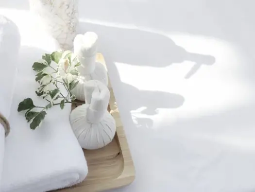 What to Expect from a Wellness Retreat