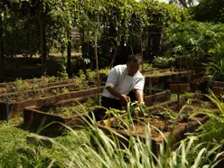 Aleenta Hua Hin Pranburi Luxury Resort Thailand Organic Farm Dmalou DMFD3941