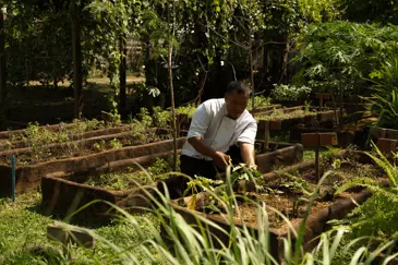 Aleenta Hua Hin Pranburi Luxury Resort Thailand Organic Farm Dmalou DMFD3941