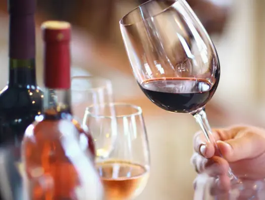 The Harmonies of Wine and Vegetarian Cuisine
