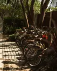 Aleenta Hua Hin Pranburi Luxury Resort Thailand Bike Dmalou DMFD7056