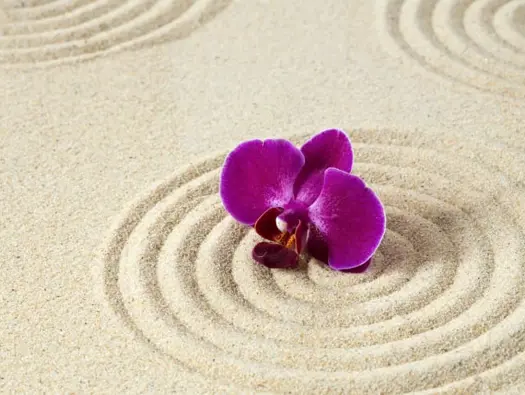 Yoga Nidra an Introduction