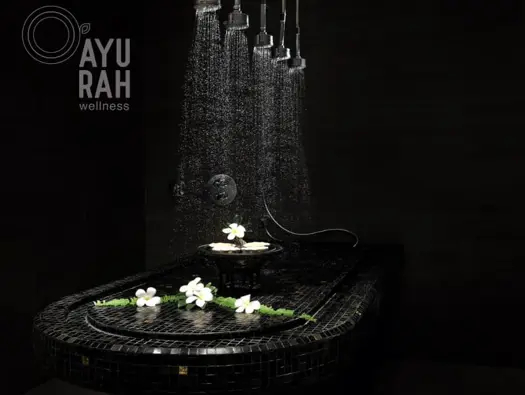 Comprehensive Wellness Services to Enhance Your Holistic Journey