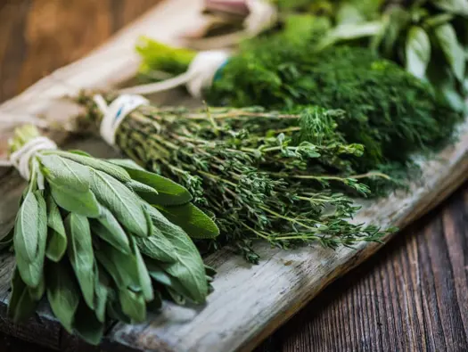 Thailand: The Herbs, the Body, and the Mind