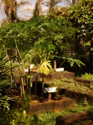 Aleenta Hua Hin Pranburi Luxury Resort Thailand Organic Farm Dmalou SL IMG 1840