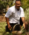Aleenta Hua Hin Pranburi Luxury Resort Thailand Organic Farm Dmalou SL IMG 2010