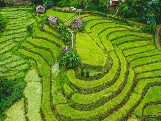 Day Trip Ideas from Chiang Mai to Chiang Rai