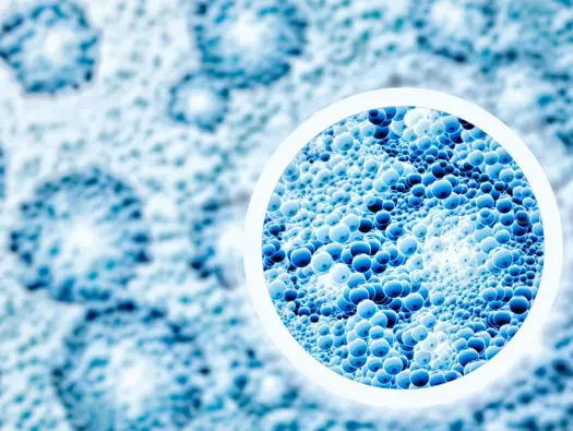 Biological Age Testing and Wellness