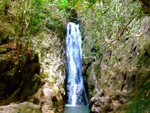 Khao Phra Thaeo National Park