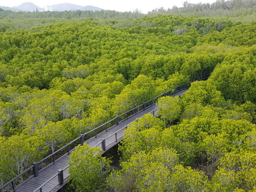 Pranburi Forest Park and Nature Reserve
