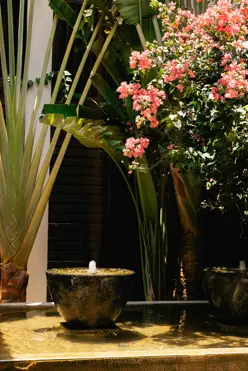 Aleenta Phuket Phang Nga Luxury Resort Thailand Exterior MP 0H5A3924