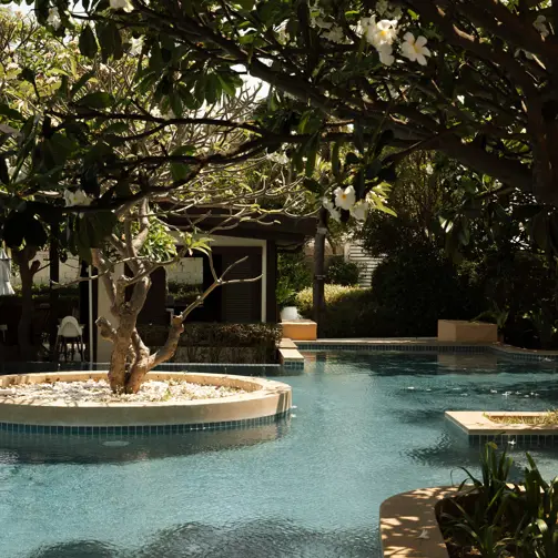 Aleenta Hua Hin Pranburi Luxury Resort Thailand Pool Dmalou DMFD6669