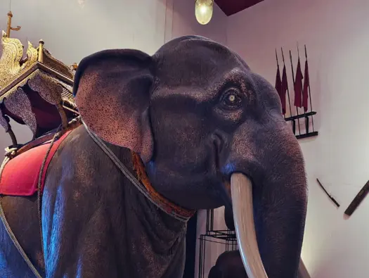 Science and Nature Museums In Bangkok