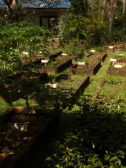 Aleenta Hua Hin Pranburi Luxury Resort Thailand Organic Farm Dmalou DMFD3868