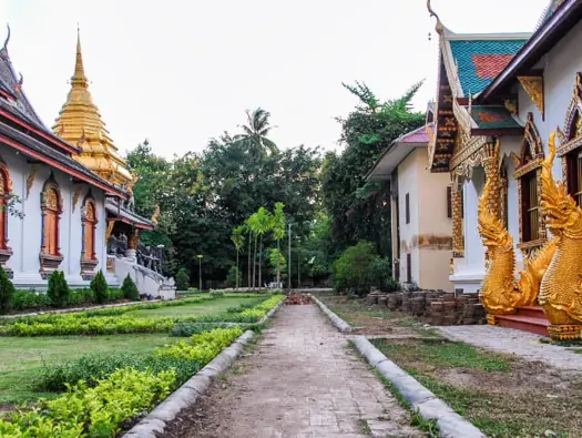 Exploring Vipassana Meditation Retreats in Chiang Mai