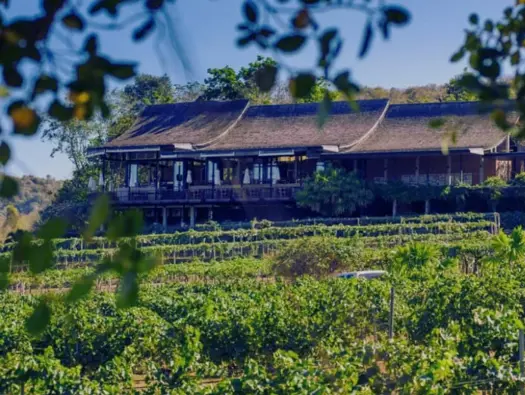 Tasting New Latitude Wines in Hua Hin