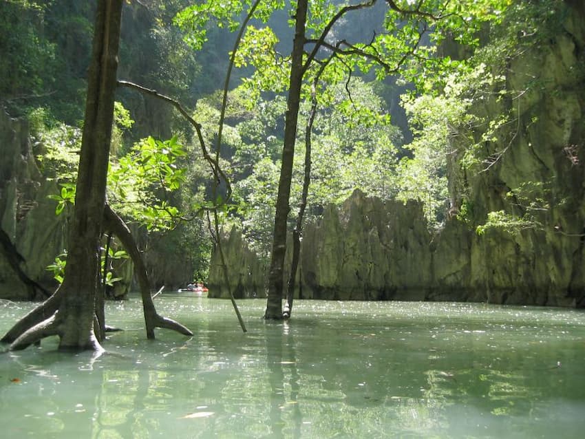 Mangrove Ecosystem of Phang Nga Bay - Aleenta Phuket Resort & Spa