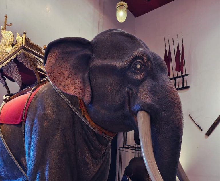 Science and Nature Museums In Bangkok - akyra Bangkok 11 Hotel