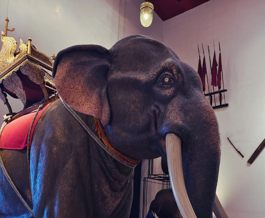 Science and Nature Museums In Bangkok - akyra Bangkok 11 Hotel