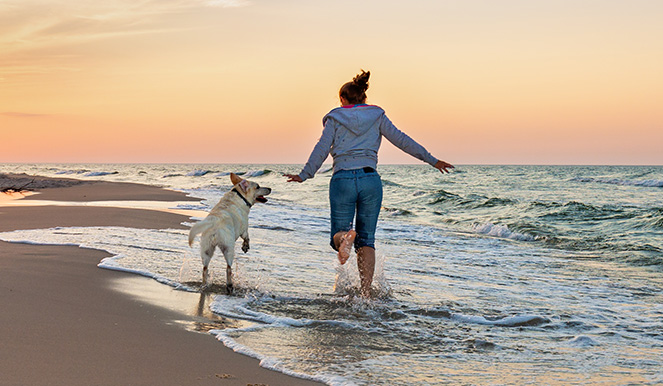 Aleenta Hua Hin hundefreundlich