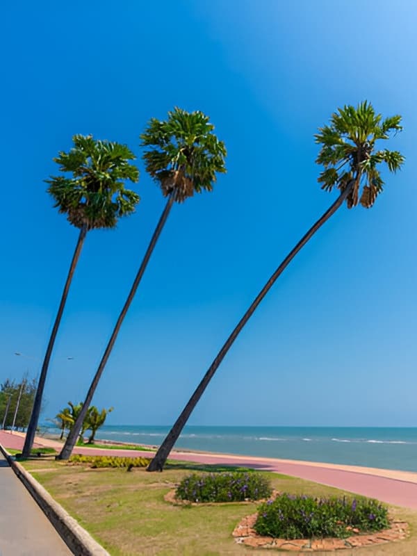 Hua Hin Inspiration (4)