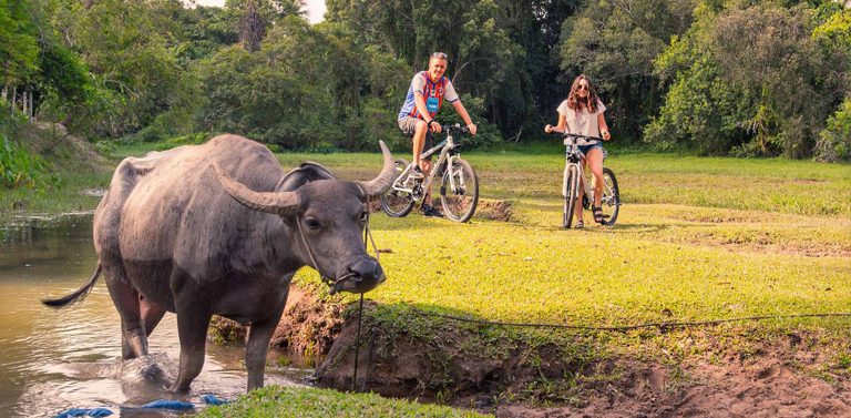 Tour de l'île à vélo