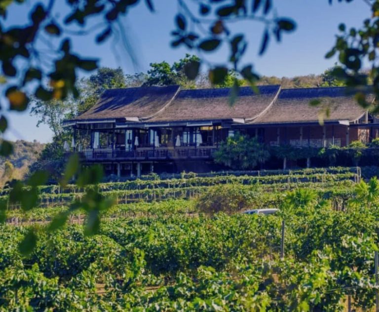 Tasting New Latitude Wines in Hua Hin - Aleenta Hua Hin Pranburi Resort & Spa