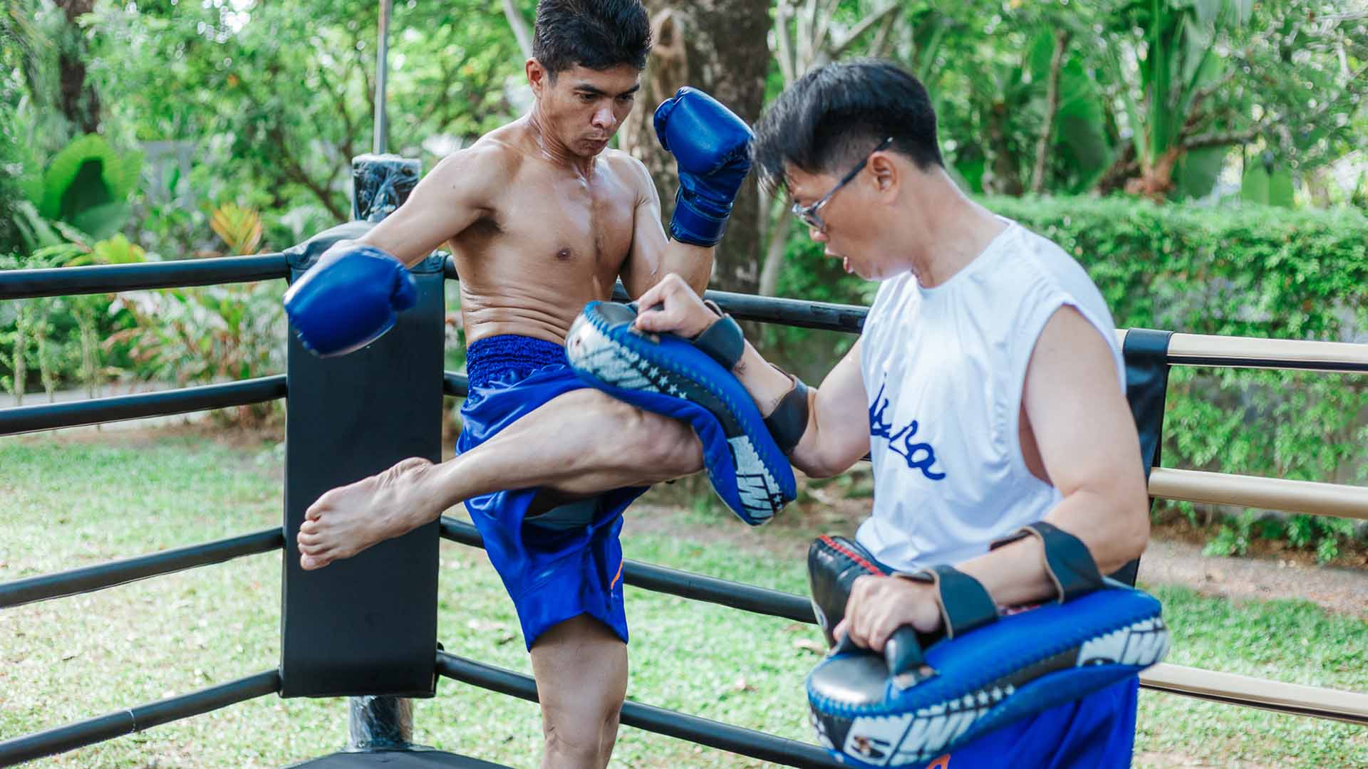 Muay Thai Karussell 3