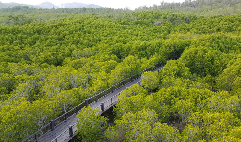 Pranburi Forest Park and Nature Reserve - Aleenta Hua Hin Resort & Spa