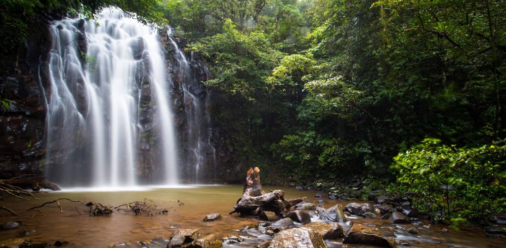 Waterfall And Wine Picnic