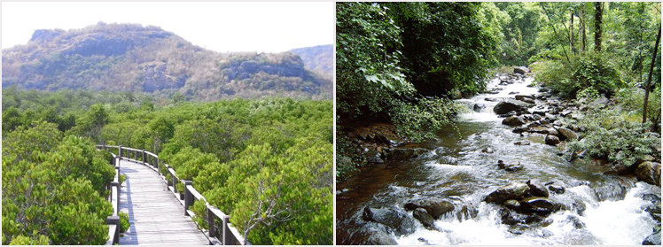 Pranburi Forest and Waterfalls