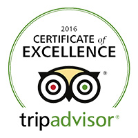 tripadvisor 2016