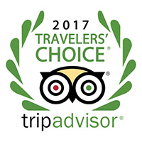 tripadvisor traveler 2017